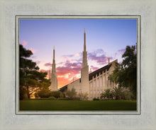 Load image into Gallery viewer, Las Vegas Desert Rose