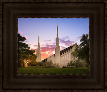 Load image into Gallery viewer, Las Vegas Desert Rose