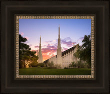 Load image into Gallery viewer, Las Vegas Desert Rose