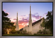 Load image into Gallery viewer, Las Vegas Desert Rose