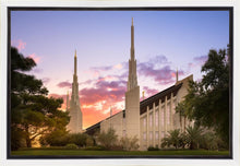 Load image into Gallery viewer, Las Vegas Desert Rose