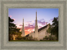 Load image into Gallery viewer, Las Vegas Desert Rose