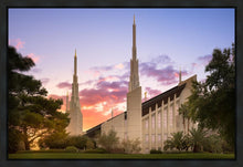Load image into Gallery viewer, Las Vegas Desert Rose