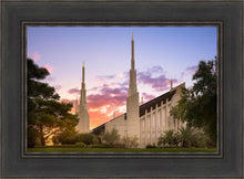 Load image into Gallery viewer, Las Vegas Desert Rose