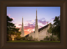 Load image into Gallery viewer, Las Vegas Desert Rose