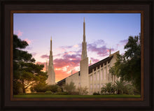 Load image into Gallery viewer, Las Vegas Desert Rose