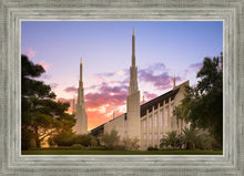 Load image into Gallery viewer, Las Vegas Desert Rose