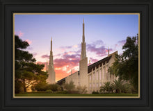 Load image into Gallery viewer, Las Vegas Desert Rose