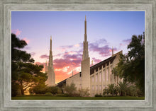 Load image into Gallery viewer, Las Vegas Desert Rose