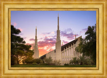 Load image into Gallery viewer, Las Vegas Desert Rose