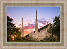 Load image into Gallery viewer, Las Vegas Desert Rose