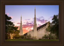 Load image into Gallery viewer, Las Vegas Desert Rose