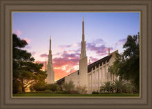 Load image into Gallery viewer, Las Vegas Desert Rose