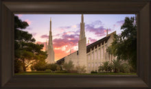 Load image into Gallery viewer, Las Vegas Desert Rose