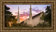 Load image into Gallery viewer, Las Vegas Desert Rose