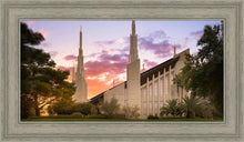 Load image into Gallery viewer, Las Vegas Desert Rose