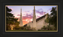 Load image into Gallery viewer, Las Vegas Desert Rose