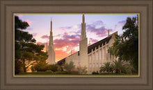 Load image into Gallery viewer, Las Vegas Desert Rose