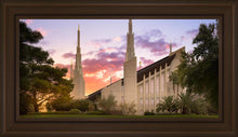 Load image into Gallery viewer, Las Vegas Desert Rose