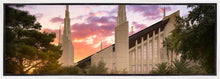 Load image into Gallery viewer, Las Vegas Desert Rose