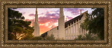 Load image into Gallery viewer, Las Vegas Desert Rose