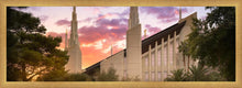Load image into Gallery viewer, Las Vegas Desert Rose