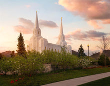 Load image into Gallery viewer, Brigham City into Spring