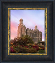 Load image into Gallery viewer, Logan Dawning of a New Day