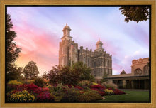 Load image into Gallery viewer, Logan Dawning of a New Day