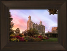 Load image into Gallery viewer, Logan Dawning of a New Day
