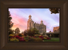 Load image into Gallery viewer, Logan Dawning of a New Day