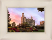 Load image into Gallery viewer, Logan Dawning of a New Day