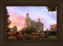 Load image into Gallery viewer, Logan Dawning of a New Day