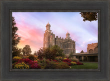 Load image into Gallery viewer, Logan Dawning of a New Day