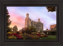 Load image into Gallery viewer, Logan Dawning of a New Day