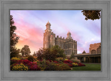 Load image into Gallery viewer, Logan Dawning of a New Day