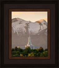 Load image into Gallery viewer, Mt. Timpanogos You’re not Alone