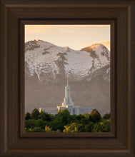 Load image into Gallery viewer, Mt. Timpanogos You’re not Alone