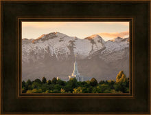 Load image into Gallery viewer, Mt. Timpanogos You’re not Alone