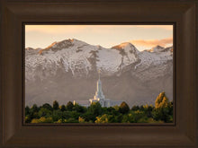 Load image into Gallery viewer, Mt. Timpanogos You’re not Alone