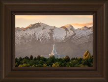 Load image into Gallery viewer, Mt. Timpanogos You’re not Alone