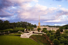 Load image into Gallery viewer, Atlanta From On High