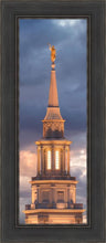 Load image into Gallery viewer, Philadelphia Inspire
