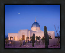 Load image into Gallery viewer, Tucson Cactus Morning
