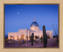 Load image into Gallery viewer, Tucson Cactus Morning