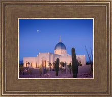 Load image into Gallery viewer, Tucson Cactus Morning