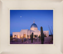 Load image into Gallery viewer, Tucson Cactus Morning