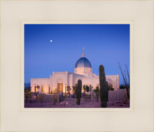 Load image into Gallery viewer, Tucson Cactus Morning