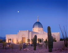 Load image into Gallery viewer, Tucson Cactus Morning