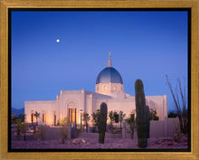 Load image into Gallery viewer, Tucson Cactus Morning